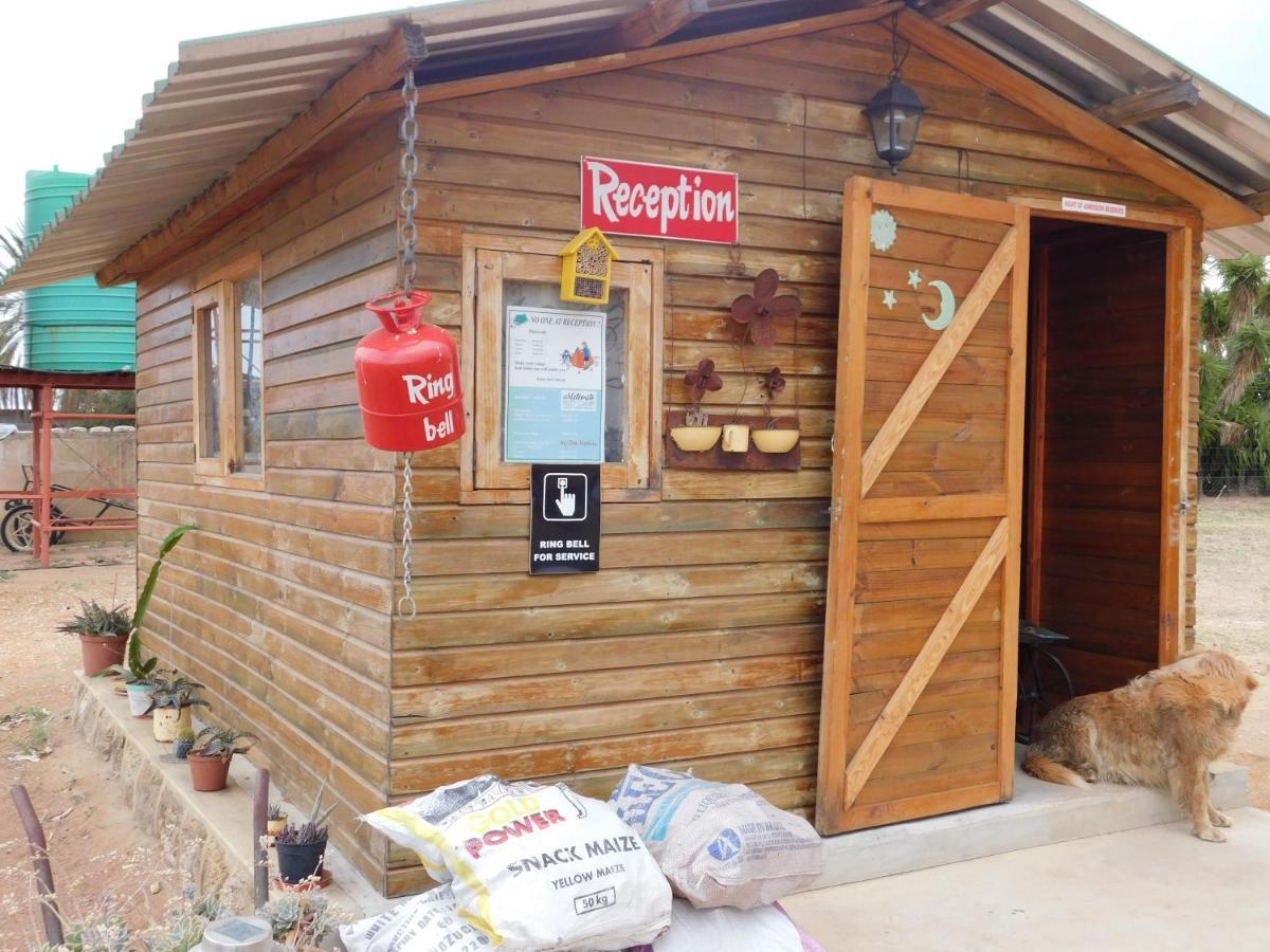 فندق Meteorite Rest Camp Grootfontein المظهر الخارجي الصورة